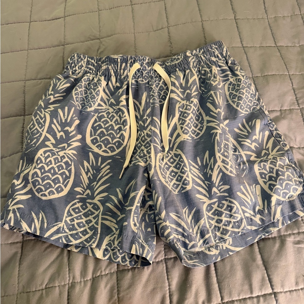 Chubbies men’s pineapple swim trunks 5.5 inseam mens small